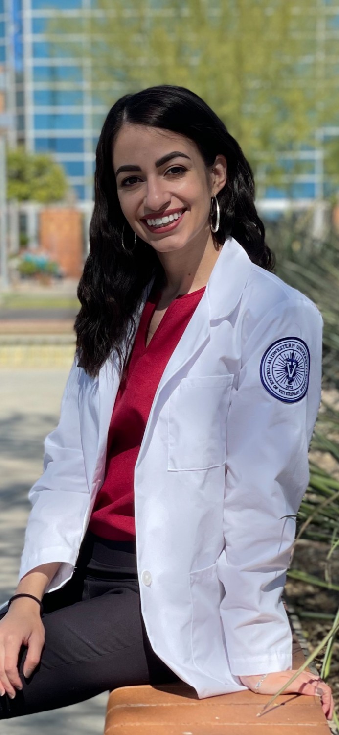 Dr. Rocco