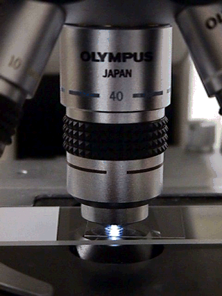 Microscope Microscope