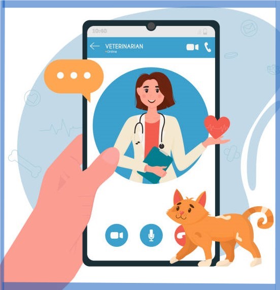 Veterinary Virtual Client Consultation