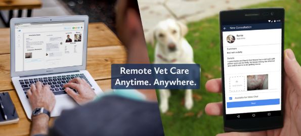 remote vet care banner
